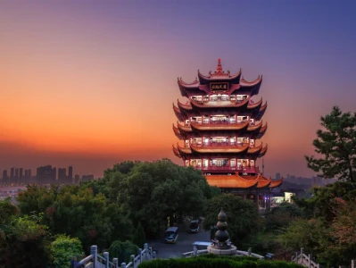 Wuhan Bio-Smuggling Charges: What's the Real Story?